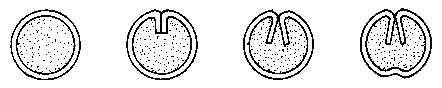 ab2042a.gif